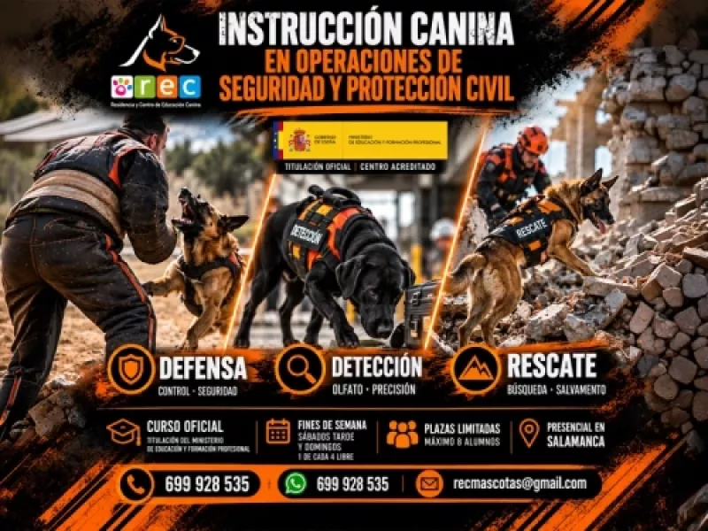 Instrucción de perros de asistencia Instrucción de perros de asistencia