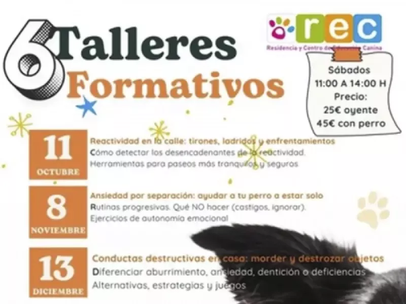 Ciclo de talleres formativos Ciclo de talleres formativos