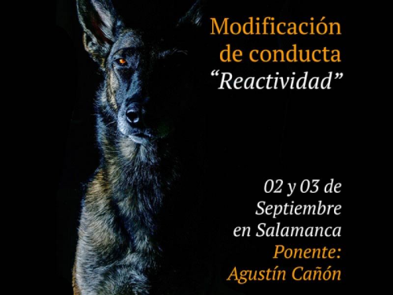 modificacion de conducta modificacion de conducta