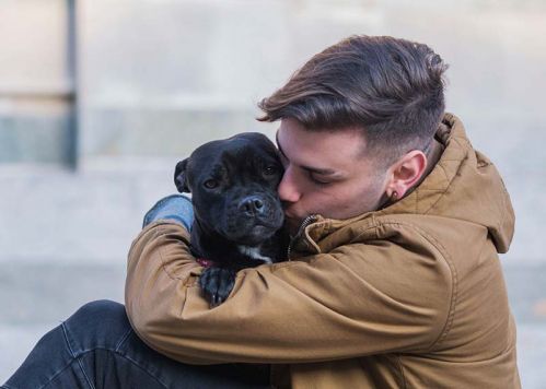 Crematorio para mascotas en Salamanca Crematorio para mascotas en Salamanca